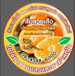 ส้มสายน้ำผึ้ง ส้มปลอดภัยไร้สารพิษ Image 1